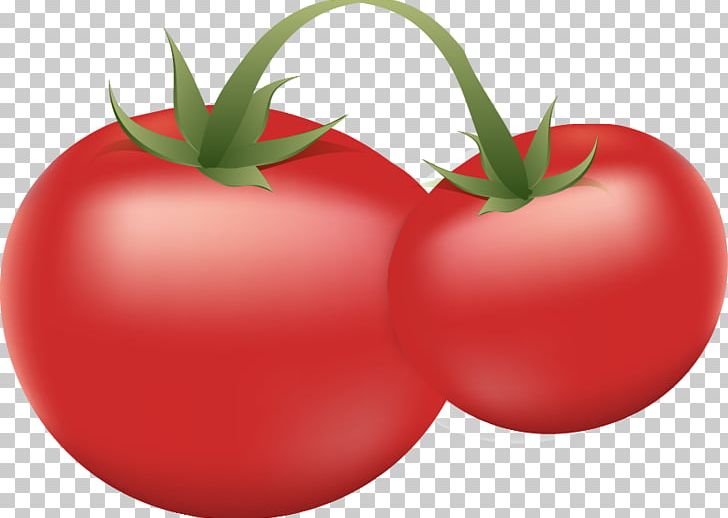 Plum Tomato Russian Rostock Bush Tomato PNG, Clipart, Bush Tomato, Cherry Tomato, Diet Food, Food, Fruit Free PNG Download