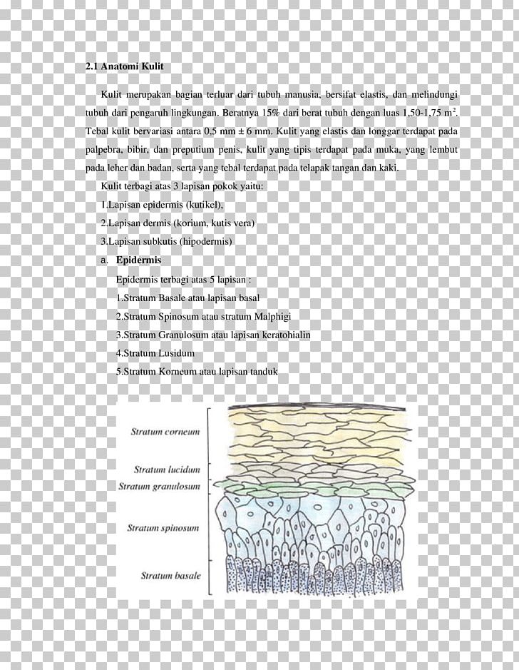 Document Line Pattern PNG, Clipart, Adolescence, Anatomi, Art, Contact, Design Free PNG Download