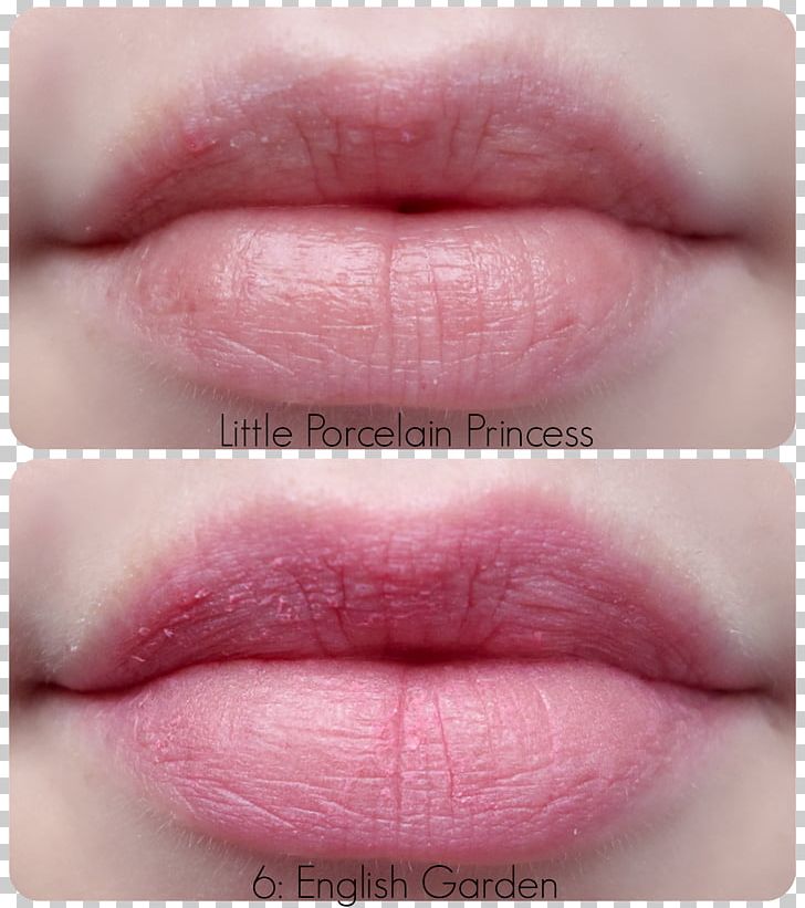 Lip Gloss Lipstick Tony Moly Petite Bunny Gloss Bar Color PNG, Clipart, Cheek, Closeup, Color, Cosmetics, Etude House Free PNG Download