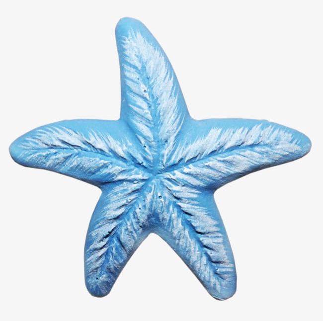 Starfish PNG, Clipart, Animal, Backgrounds, Blue, Close Up, Decoration Free PNG Download