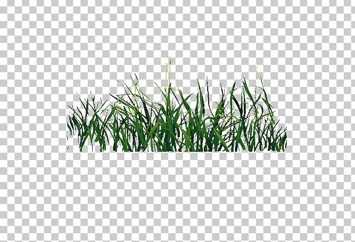 Transparency And Translucency Blog GIFu30a2u30cbu30e1u30fcu30b7u30e7u30f3 PNG, Clipart, Animation, Avatar, Background Green, Decorative, Decorative Grass Free PNG Download