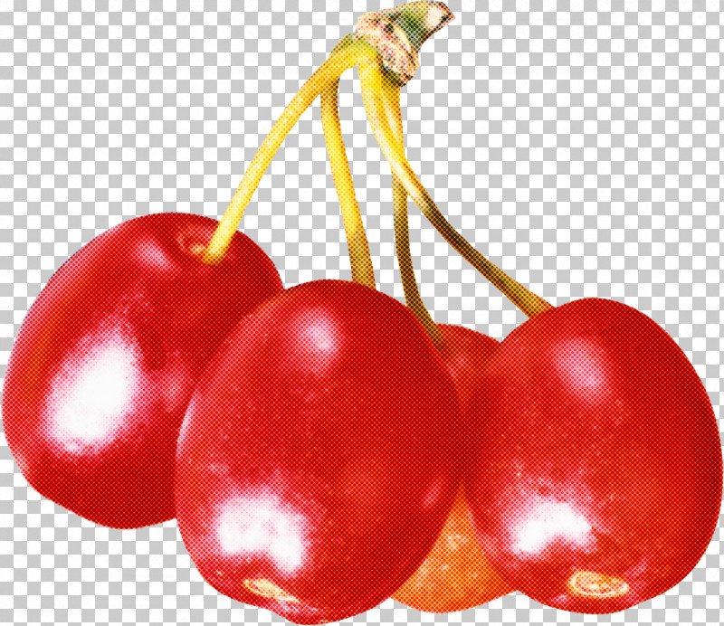 Cherry Fruit Plant Food Natural Foods PNG, Clipart, Berry, Cherry, Currant, Flower, Food Free PNG Download