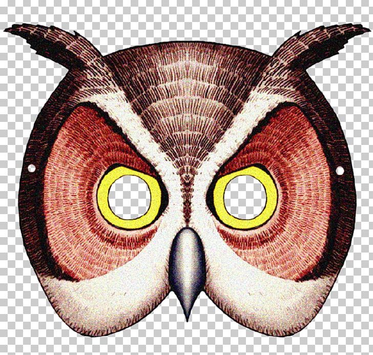 Barn Owl Mask Animal Giant Panda PNG, Clipart, Animal, Animals, Anonymous Mask, Barn Owl, Beak Free PNG Download