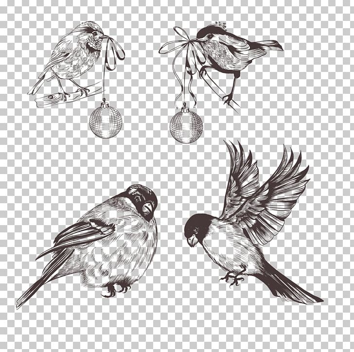 Bird Sparrow Euclidean Feather PNG, Clipart, Animals, Beak, Black And White, Body Jewelry, Dimension Free PNG Download