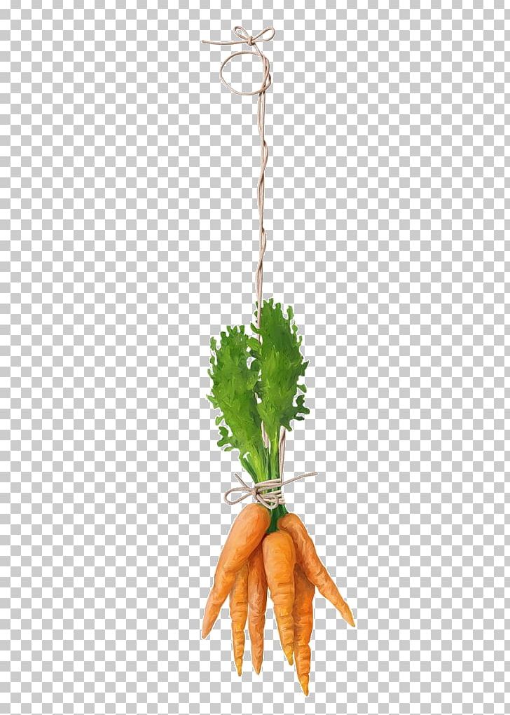 Decoupage Vegetable Painting Food PNG, Clipart, Art, Carrot, Decoupage, Drawing, Flowerpot Free PNG Download