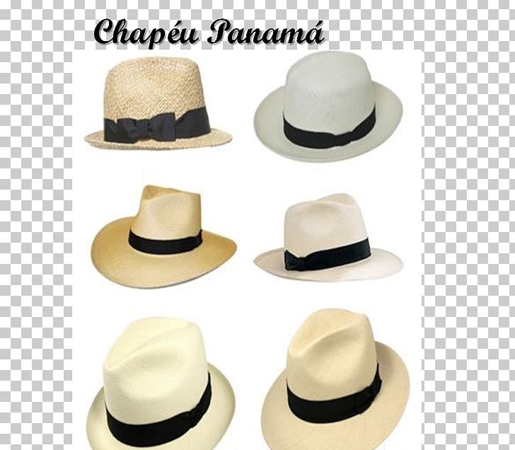 Fedora Panama Hat Fashion Praia Da Cacimba Do Padre PNG, Clipart, Beach, Cake, Cake Decorating, Clothing, Clothing Accessories Free PNG Download
