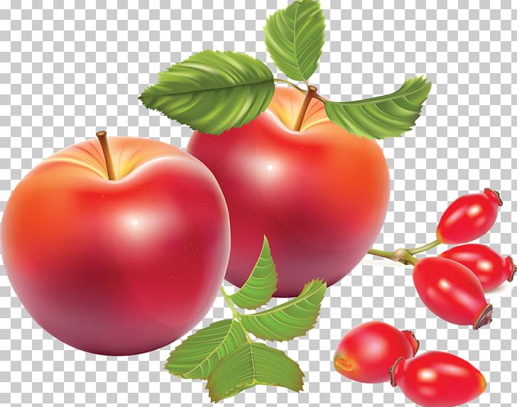 Rose Hip Apples Dog-rose PNG, Clipart, Acerola, Acerola Family, Apple, Apples, Berry Free PNG Download