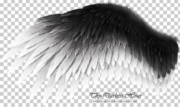 Wing Work Of Art Bird PNG, Clipart, Angel Wings, Animals, Art, Artist, Bird Free PNG Download