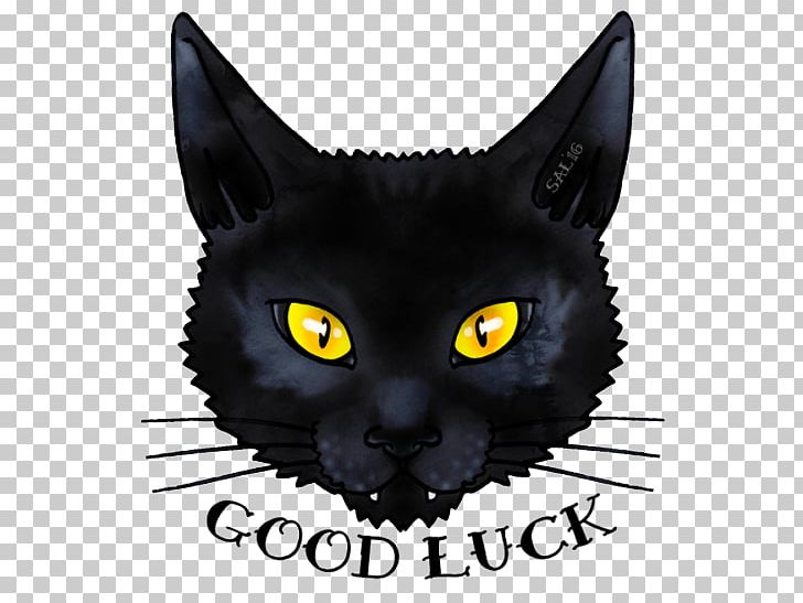 Black Cat Bombay Cat Korat Kitten Domestic Short-haired Cat PNG, Clipart, Animals, Black Cat, Bombay, Bombay Cat, Carnivoran Free PNG Download