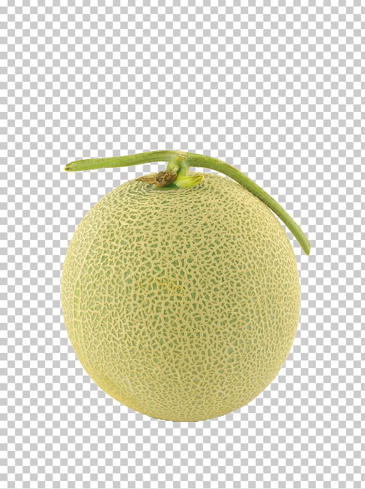 Hami Melon Honeydew Cantaloupe PNG, Clipart, Bitter Melon, Cantaloupe, Cartoon, Citrus, Cucumber Gourd And Melon Family Free PNG Download