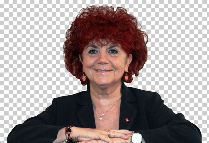 Valeria Fedeli Ministry Of Education PNG, Clipart, Democratic Party, Education Science, Elimu, Government, Government Of Italy Free PNG Download