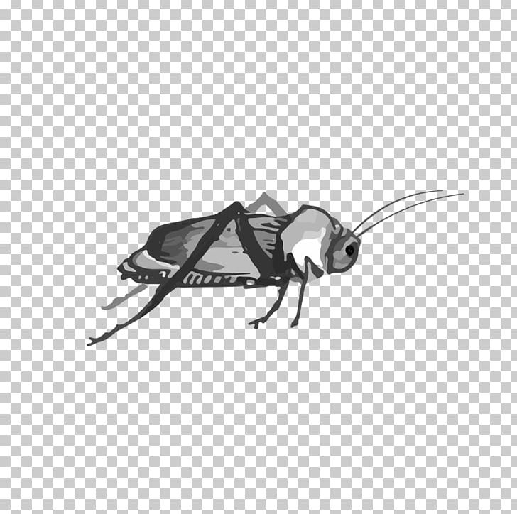 Cockroach Insect PNG, Clipart, Black, Chinese Style, Cockroach, Encapsulated Postscript, Fauna Free PNG Download