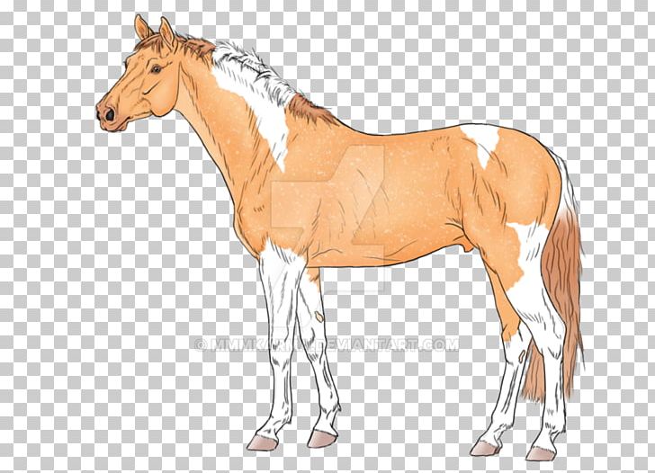 Foal Rein Stallion Mare Colt PNG, Clipart, Animal Figure, Bridle, Colt, Dog Harness, Foal Free PNG Download