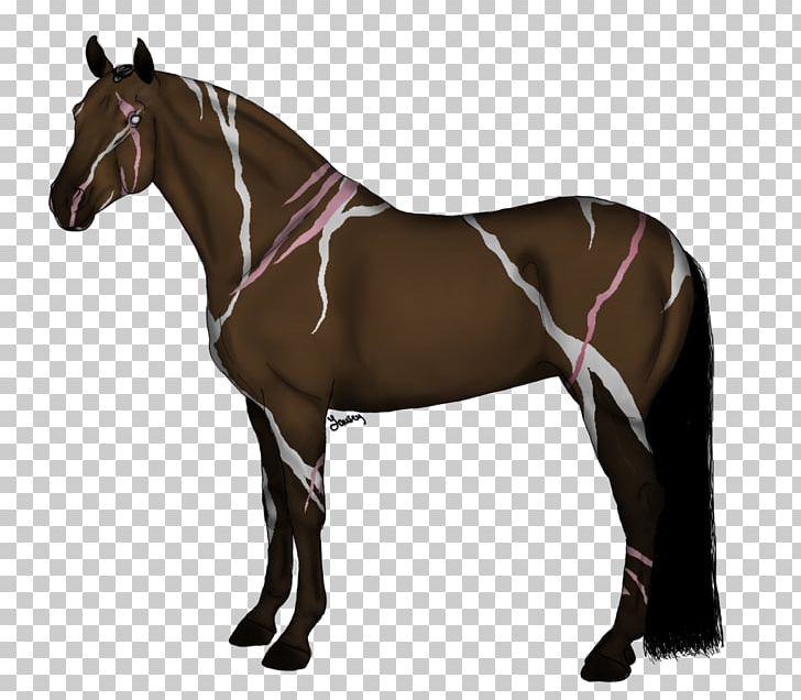 Mane Stallion Mustang Arabian Horse PNG, Clipart, Arabian Horse, Bridle, Colt, Drawing, Equestrian Free PNG Download
