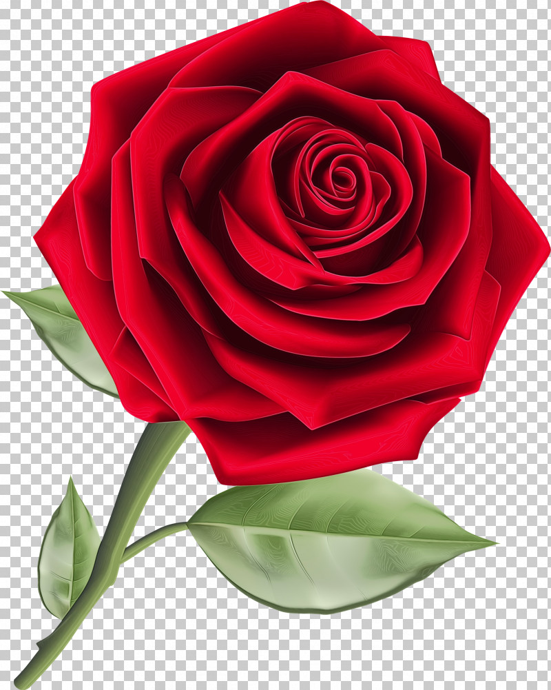Floral Design PNG, Clipart, Cartoon, Computer Graphics, Floral Design, Paint, Rose Free PNG Download