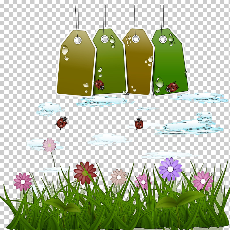 Green Grass Water Plant Lawn PNG, Clipart, Flower, Grass, Green, Lawn, Meadow Free PNG Download