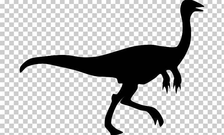 Gallimimus Velociraptor Silhouette PNG, Clipart, Beak, Bird, Black And White, Dinosaur, Download Free PNG Download