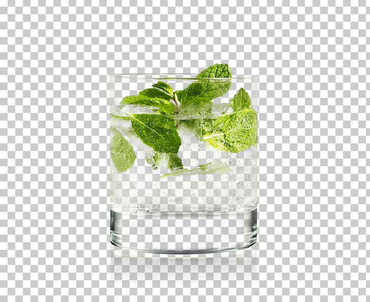 Mint Julep Mojito Rickey Gin And Tonic Rebujito PNG, Clipart, Cocktail, Cocktail Garnish, Drink, Food Drinks, Garnish Free PNG Download