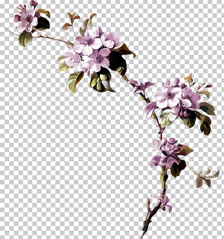 Flower Blossom PNG, Clipart, Blossom, Branch, Cherry Blossom, Cut Flowers, Decorative Pattern Free PNG Download