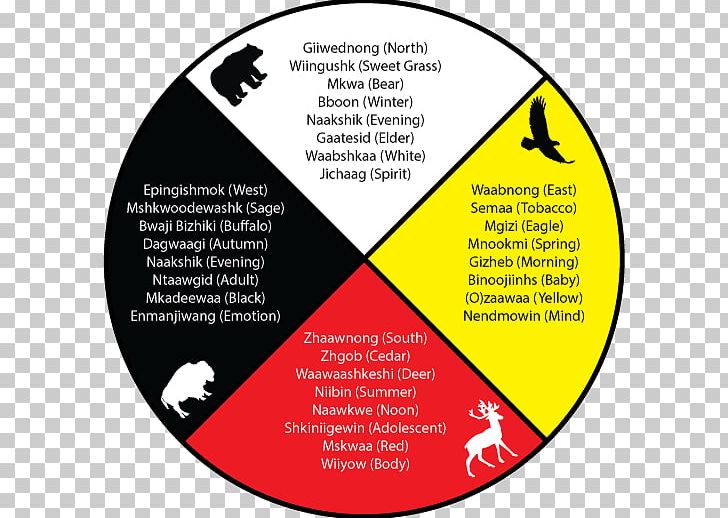 Medicine Wheel Spirituality Mental Health The Red Road Ojibwe PNG, Clipart, Area, Brand, Emotion, G 2, Herbal Free PNG Download