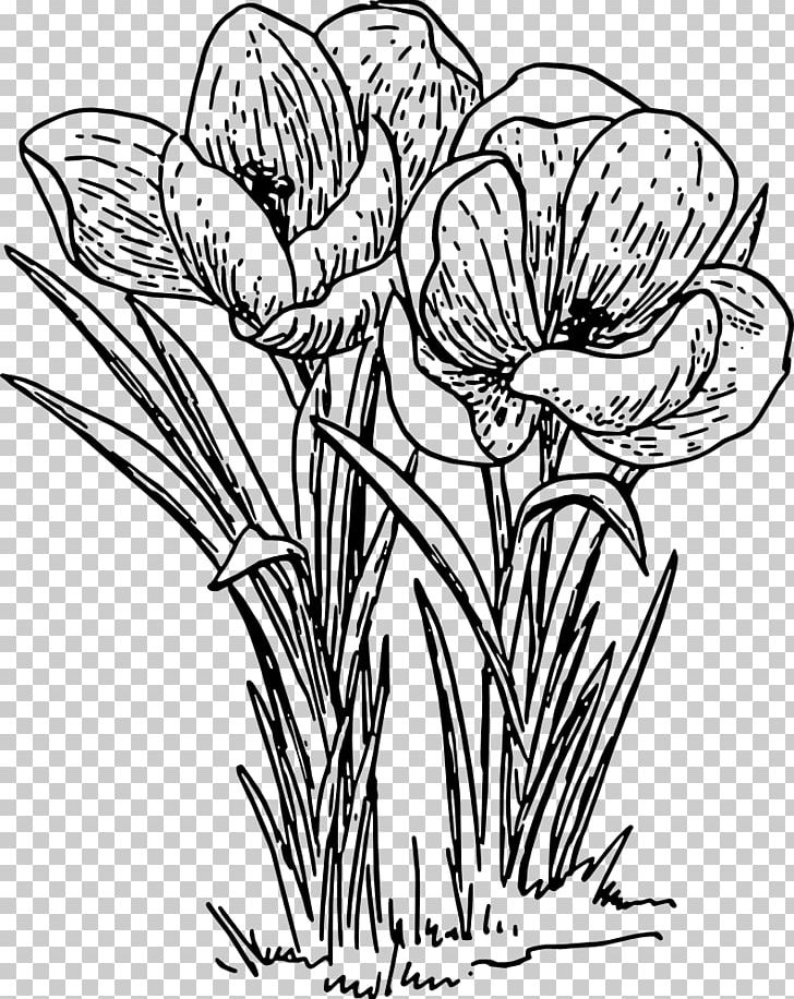 Rose Drawing Flower PNG, Clipart, Art, Artwork, Black And White, Crocula, Cut Flowers Free PNG Download