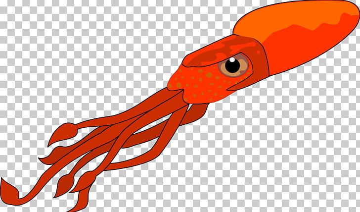 Squid As Food Free Content PNG, Clipart, Cephalopod, Clip Art, Download, Drawing, Free Content Free PNG Download