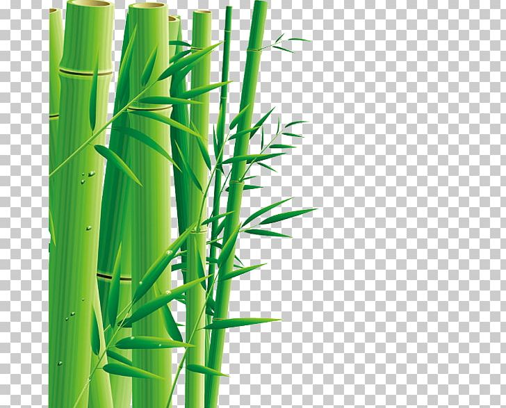 Zongzi U7aefu5348 Dragon Boat Festival Bamboo PNG, Clipart, 5u67085u65e5, Angle, Bamboo Border, Bamboo Frame, Bamboo Leaf Free PNG Download
