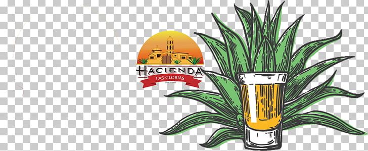 Agave Azul Tequila Sunrise Margarita Mexican Cuisine PNG, Clipart, Agave, Agave Azul, Animal Figure, Bottle, Cedar Free PNG Download