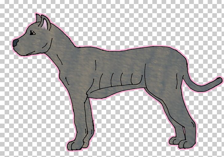 Cane Corso Dog Breed English Mastiff Whiskers Cat PNG, Clipart, Animal Figure, Animals, Big Cats, Carnivoran, Cat Like Mammal Free PNG Download