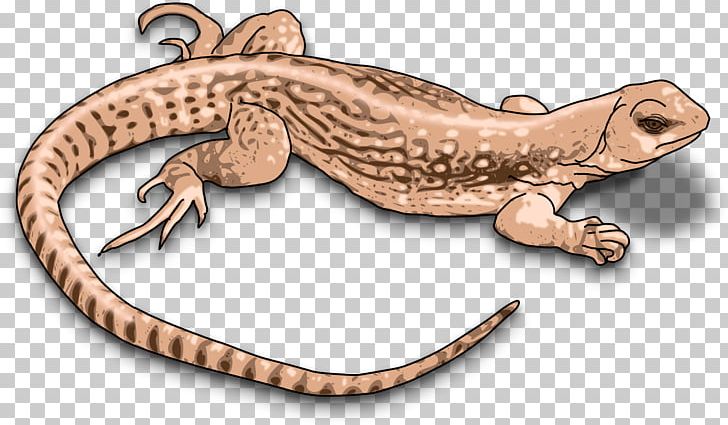 Komodo Dragon Lizard Reptile Chameleons PNG, Clipart, Amphibian, Animal Figure, Animals, Bearded Dragons, Chameleons Free PNG Download