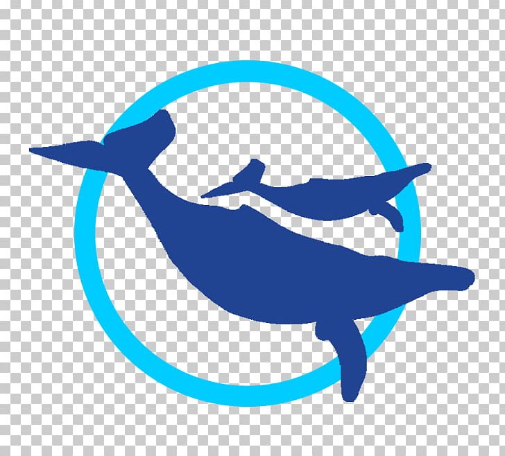 Whale Watch Cabo Dolphin Whale Watching Web Browser PNG, Clipart, Browser, Cabo San Lucas, Cetacea, Com, Crop Free PNG Download
