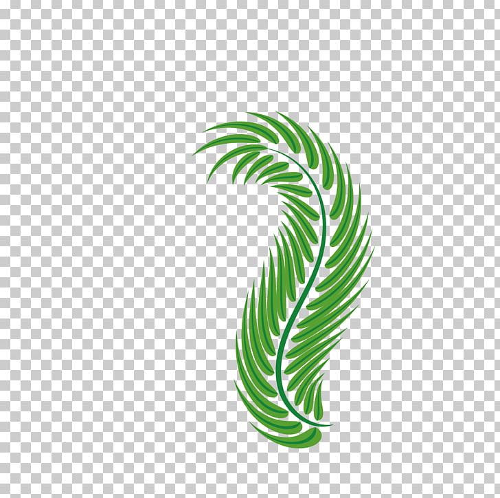 Palm-leaf Manuscript Green Arecaceae PNG, Clipart, Banana Leaves, Beach, Branch, Canvas, Easter Vector Free PNG Download