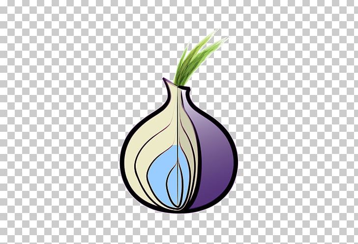 onion darknet гидра