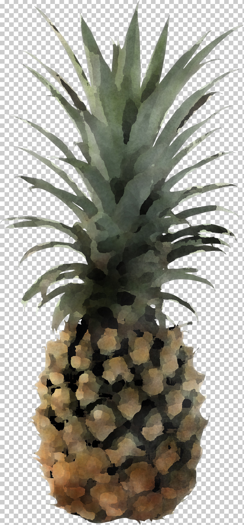 Pineapple PNG, Clipart, Fruit, Pineapple, Plants, Royaltyfree Free PNG Download