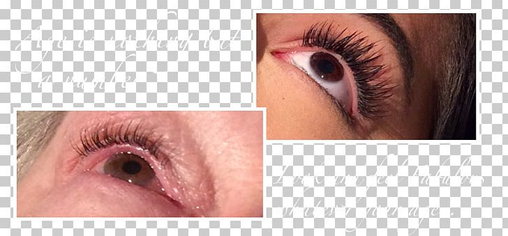 Eyelash Extensions Eye Shadow Mascara Brown PNG, Clipart, Artificial Hair Integrations, Brown, Cheek, Closeup, Closeup Free PNG Download
