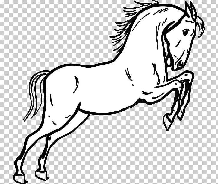 Horse Stallion Jumping Equestrian PNG, Clipart, Animals, Art, Collection, Dressage, Fictional Character Free PNG Download