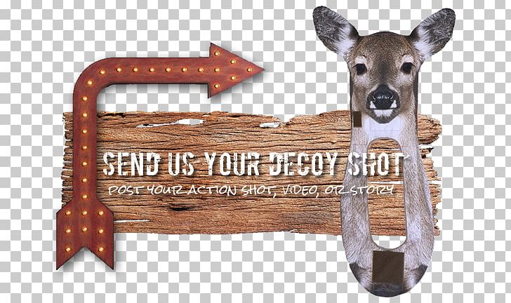 Big-game Hunting The Hunter Deer Bowhunting PNG, Clipart, Archery, Biggame Hunting, Bow And Arrow, Bowhunting, Decoy Free PNG Download