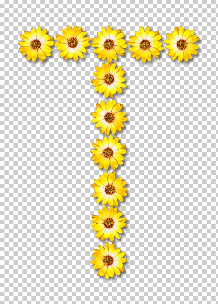 Common Sunflower Cut Flowers Alphabet PNG, Clipart, Alphabet, Clip Art, Clothing, Common Sunflower, Cut Flowers Free PNG Download