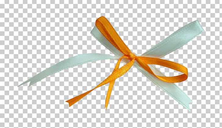 Ribbon PNG, Clipart, Belt, Bow, Ceremony, Float, Objects Free PNG Download