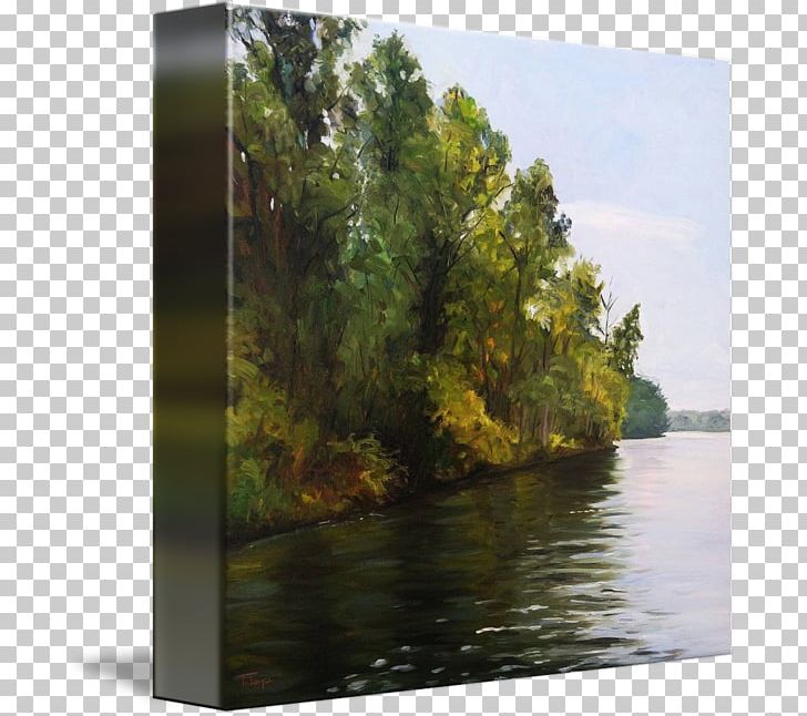 Water Resources Pond Landscape Tree PNG, Clipart, Bank, Bayou, Inlet, James Hudson, Lake Free PNG Download