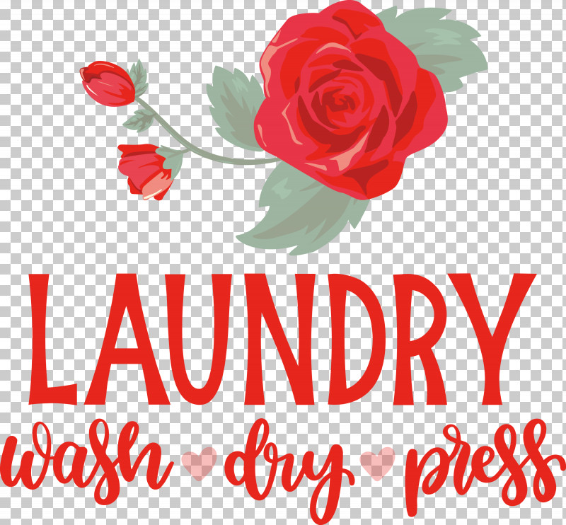 Laundry Wash Dry PNG, Clipart, Cut Flowers, Doterra, Dry, Floral Design, Flower Free PNG Download