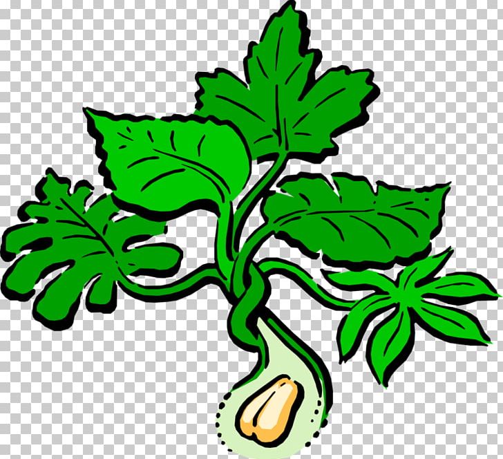 Peanut Graphics Leaf PNG, Clipart, Arachis, Artwork, Diagram, Drawing, Flora Free PNG Download