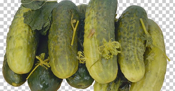 Pickled Cucumber Pickling Vegetable Salting PNG, Clipart, Cucumber, Food, Melon, Pickled Cucumber, Pumpkin Free PNG Download