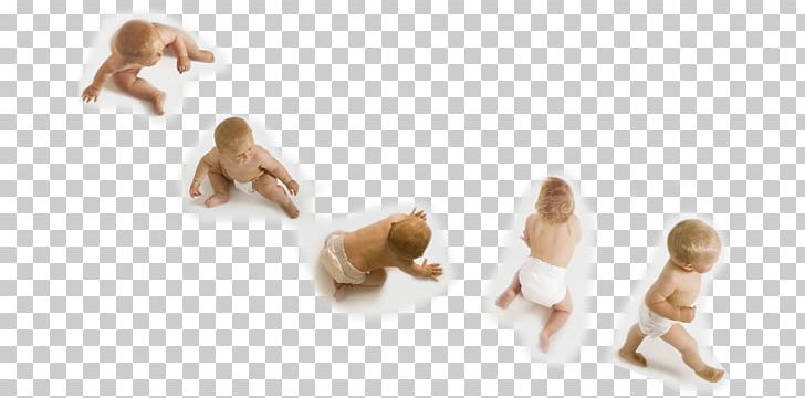 Child Infant Crawling Sitting Developmental Psychology PNG, Clipart, Animal Figure, Carnivoran, Child, Child Development Stages, Crawling Free PNG Download