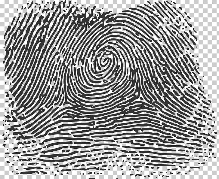 Fingerprint Wikimedia Commons Wikimedia Foundation Printing PNG, Clipart, Area, Biometrics, Black, Black And White, Circle Free PNG Download