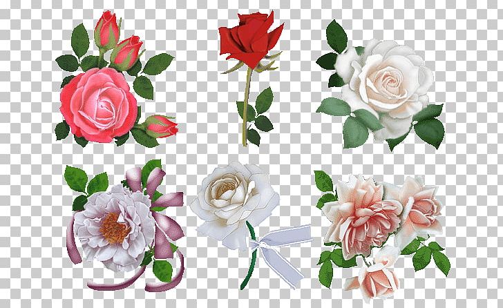 Garden Roses Beach Rose Cut Flowers Floral Design PNG, Clipart, Artificial Flower, Beach Rose, Centifolia Roses, Cut Flowers, Flora Free PNG Download