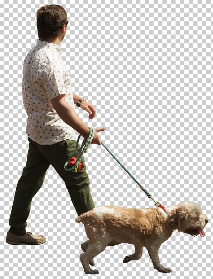 Dog Breed Puppy Dog Walking Obedience Training PNG, Clipart ...