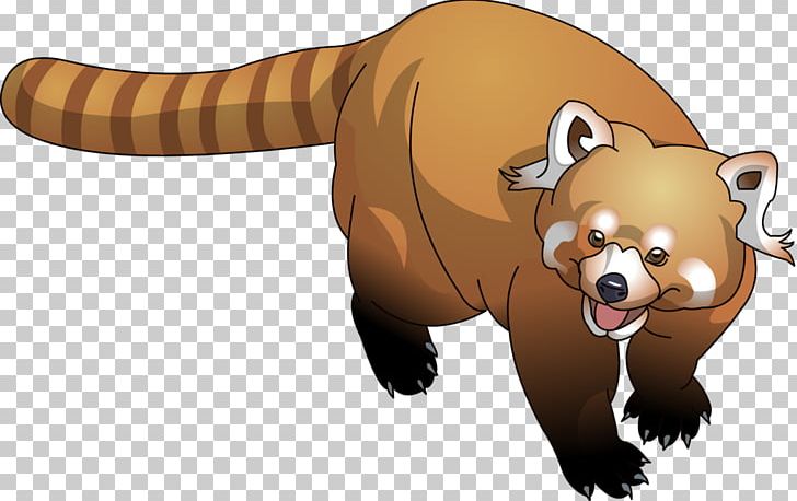 Raccoon Red Panda Bear Cartoon PNG, Clipart, Animal, Animals, Carnivoran, Cartoon Animals, Cartoon Raccoon Free PNG Download