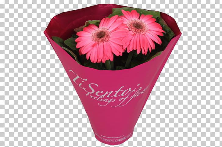 Transvaal Daisy Flowerpot Cut Flowers Floristry PNG, Clipart, Artificial Flower, Color, Cut Flowers, Daisy Family, Floristry Free PNG Download