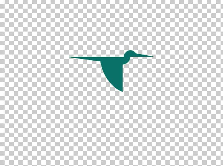 Bird Duck Goose Swan Logo PNG, Clipart, Anatidae, Angle, Animal, Beak, Bird Free PNG Download